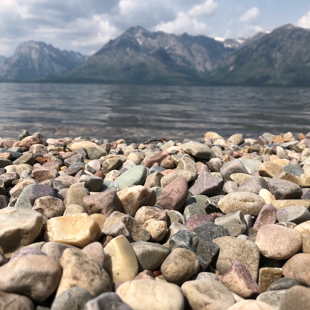 Meet your Posher, Shannon